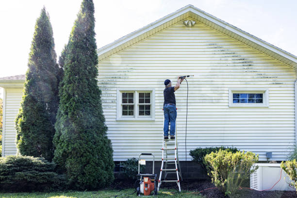 Best House Exterior Washing  in Reading, MI